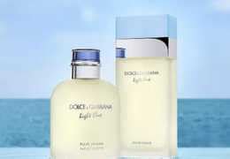 duftzwilling dolce gabbana feminine
